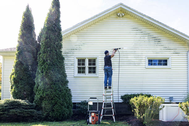 Best Roof Washing  in Candor, NC